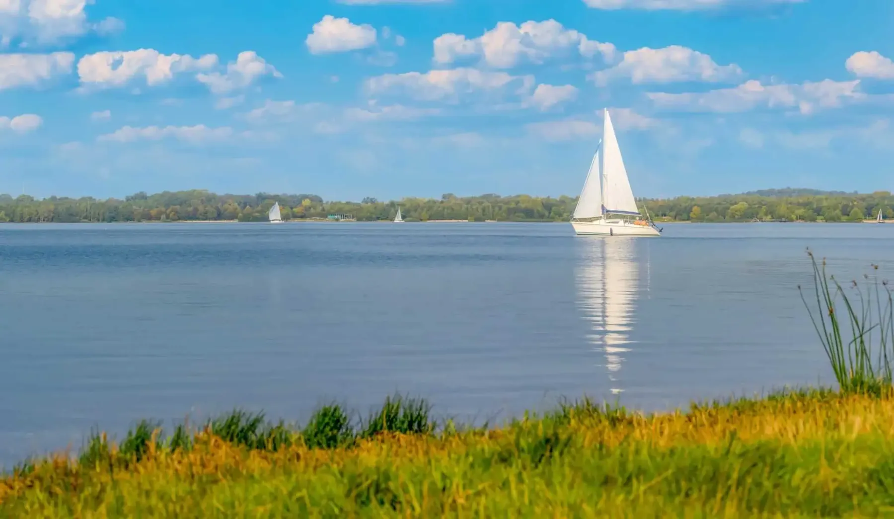 Segelboot auf einem ruhigen See unter blauem Himmel mit Schönwetterwolken, im Vordergrund Ufergras, am Horizont ein bewaldetes Ufer
