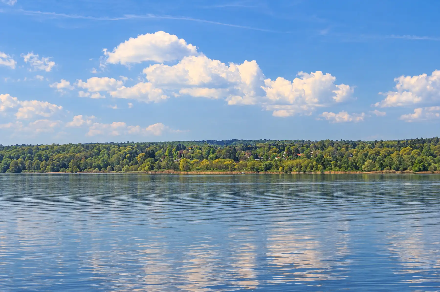 Ruhige Seefläche vor einem bewaldeten Ufer unter Sommerwolken